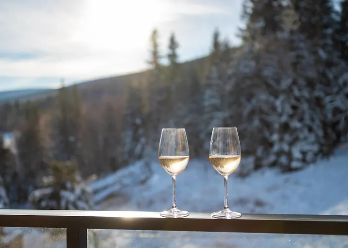 Izerskie Premium - Zrodlo Izery - Strefa Saun & Family Przy Gondoli Апартаменты *